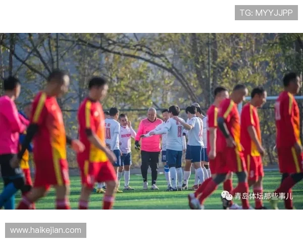 足球巨星精彩瞬间集锦领略绿茵场上的辉煌与激情 足球巨星精彩瞬间集锦领略绿茵场上的辉煌与激情
