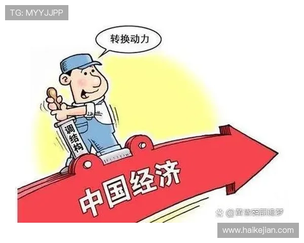 广州排球队阵地战革新之路探索与实践的深度剖析