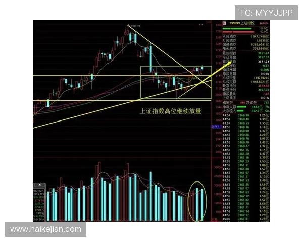 深圳羽毛球队与西安羽毛球队赛后复盘分析比赛节奏与战术对比